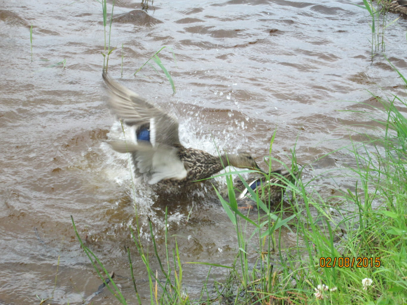 Valokuvaaja: Tuula Makkonen Valokuvaaja: Tuula Makkonen