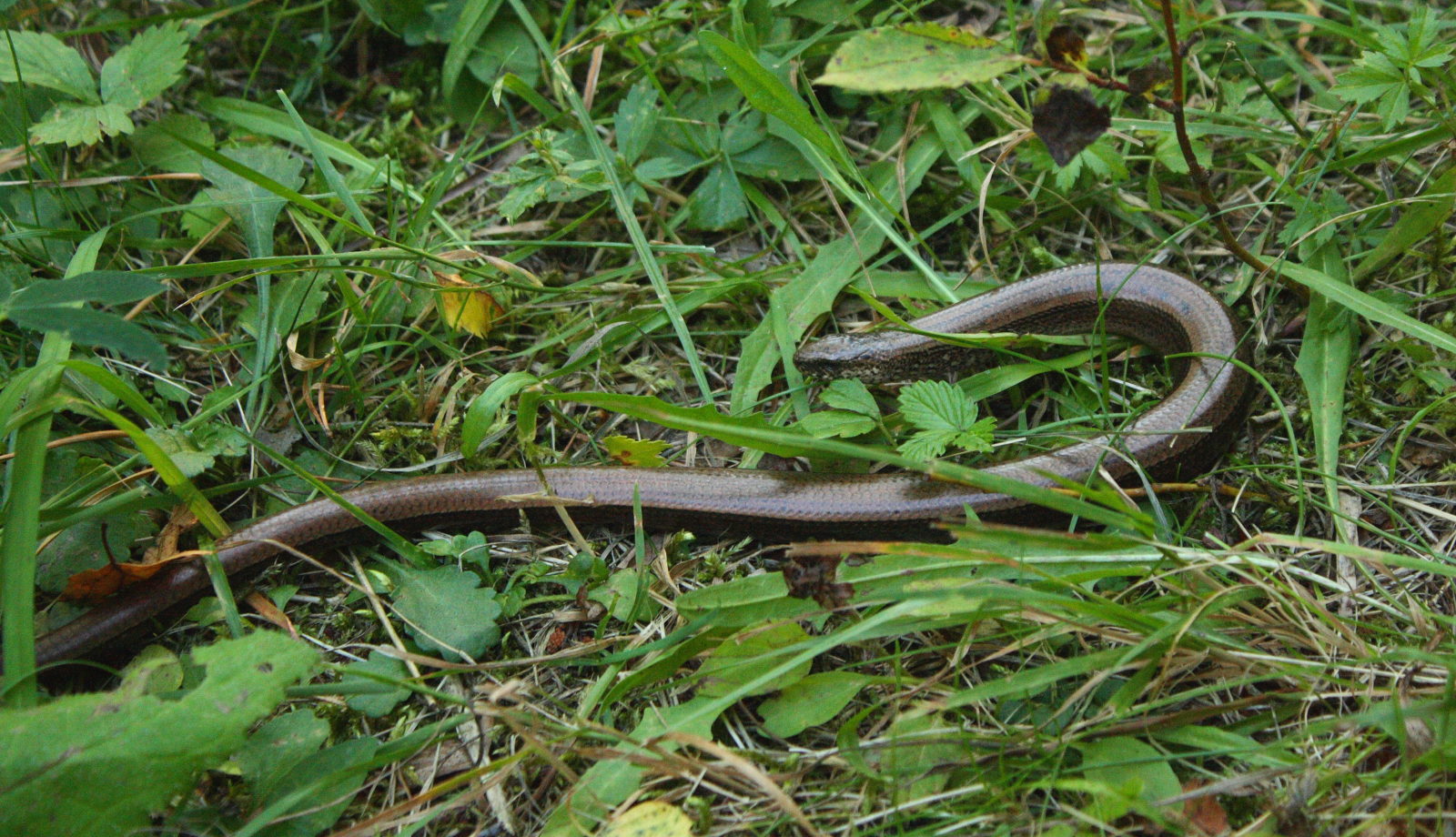 Valokuvaaja: Teija Järvenpää