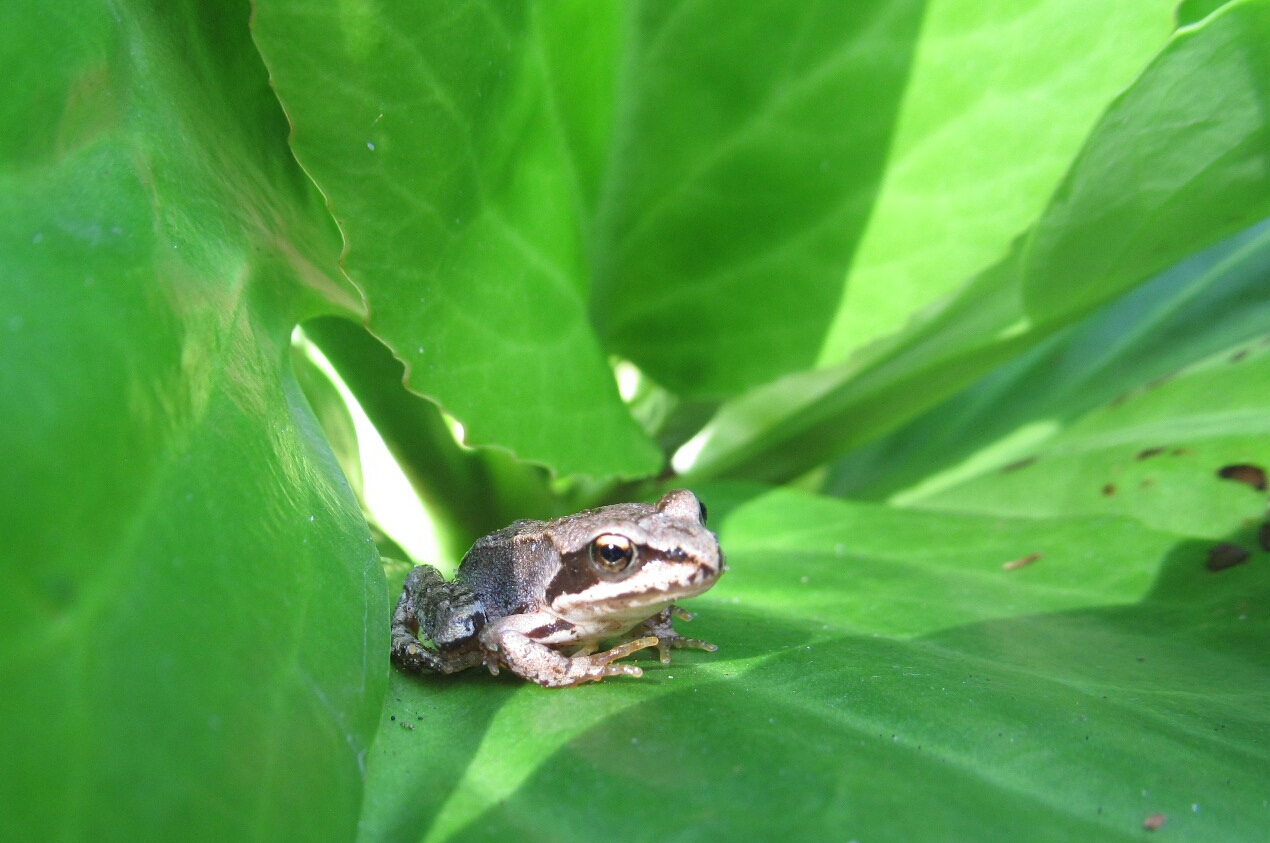 Valokuvaaja: Tuula Makkonen