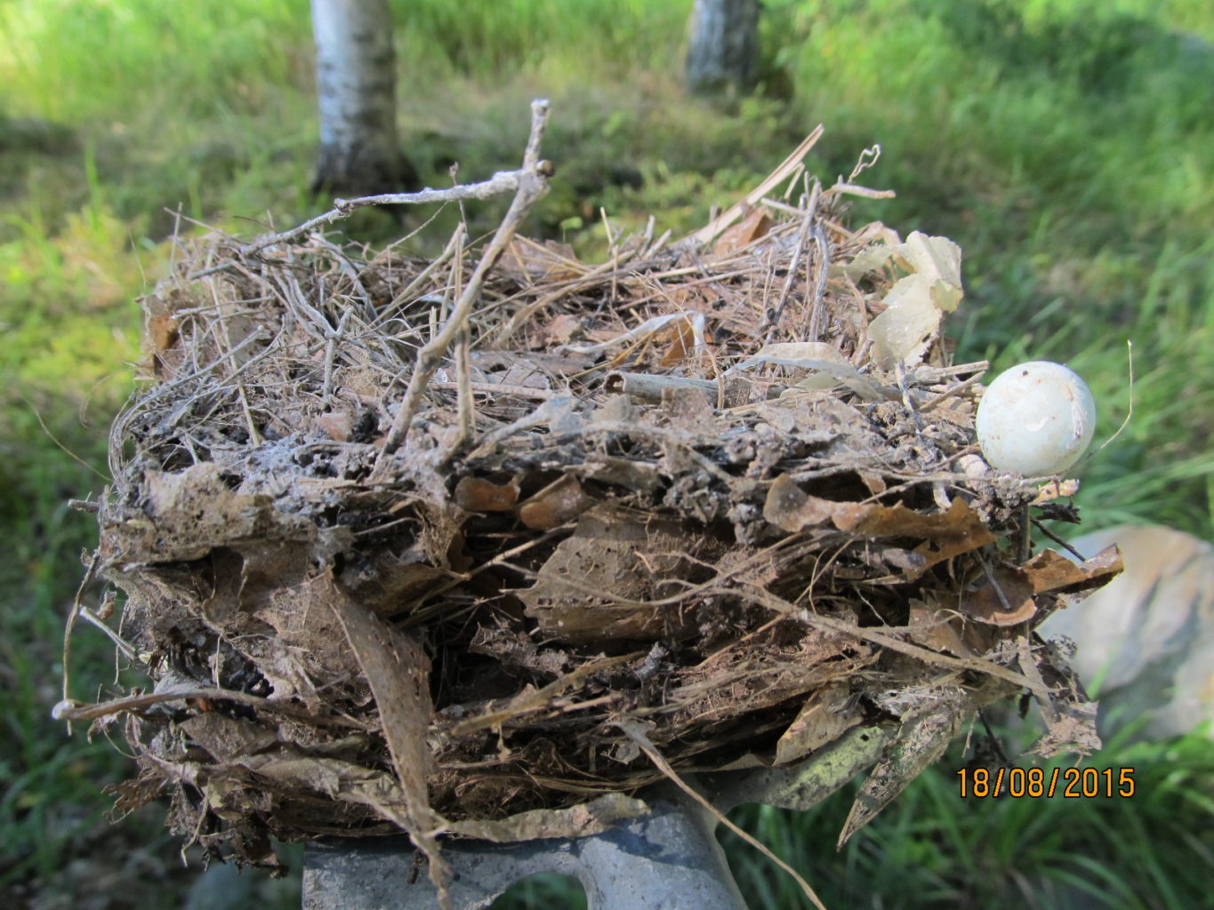 Valokuvaaja: Tuula Makkonen