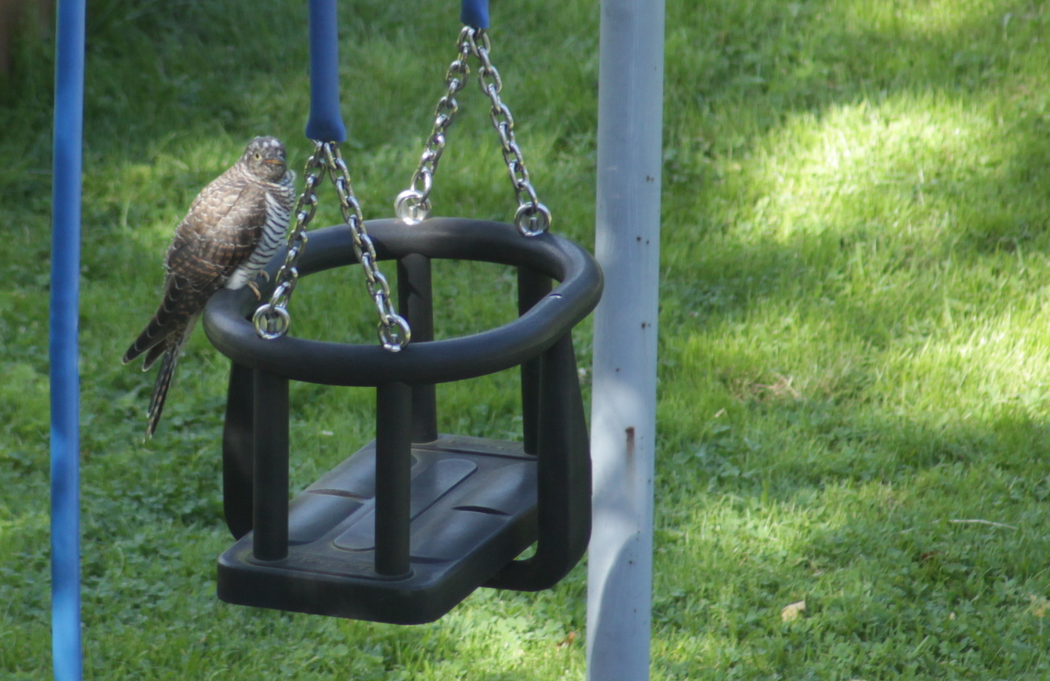 Valokuvaaja: Anna Into