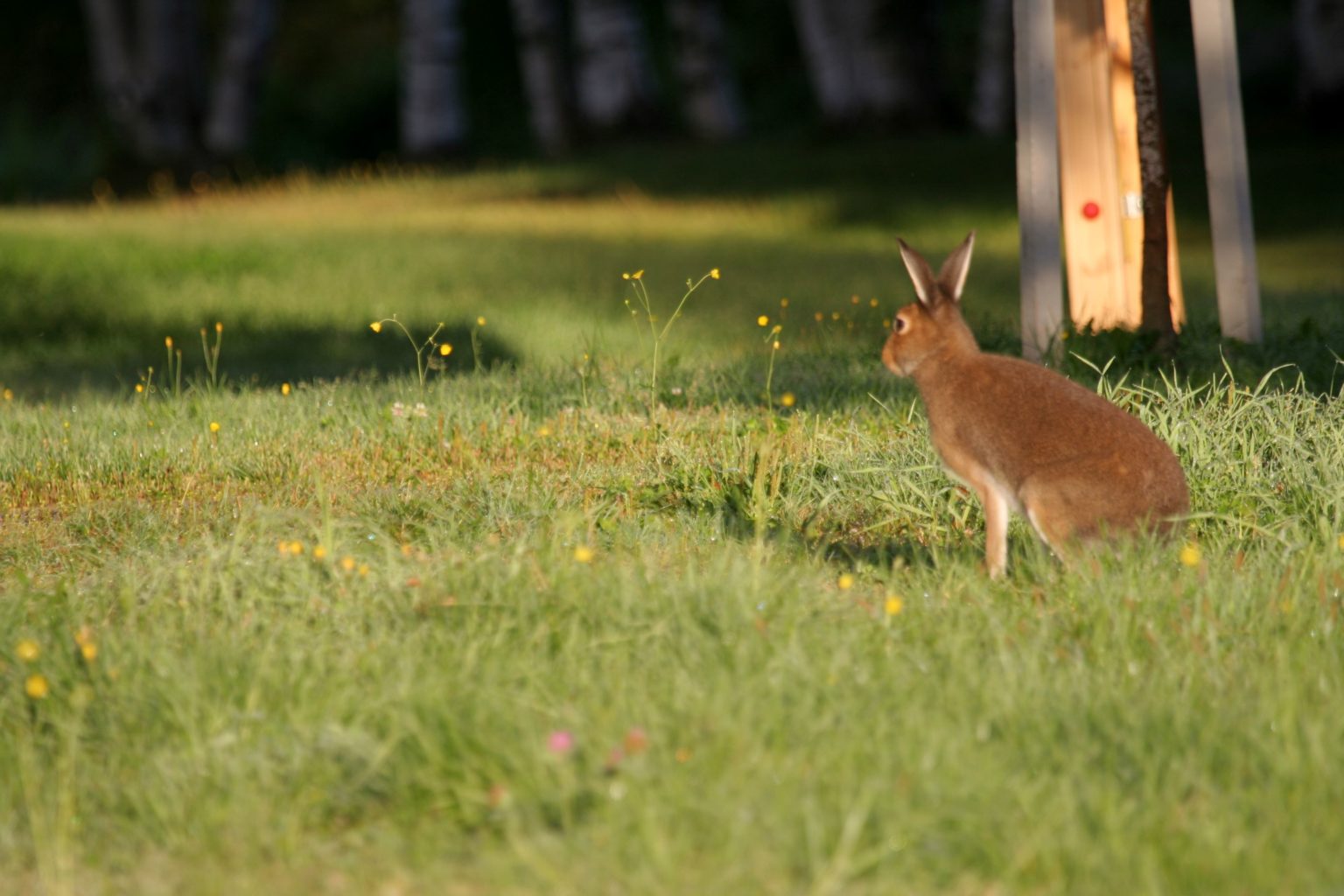 Valokuvaaja: Pirkko Siukonen