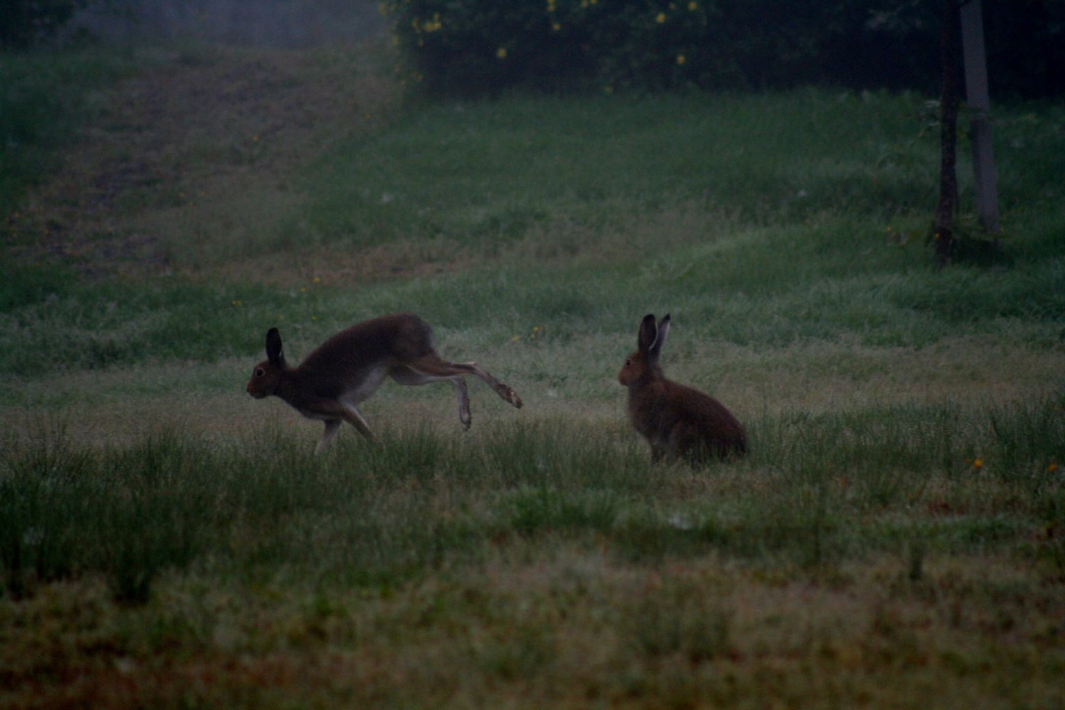Valokuvaaja: Pirkko Siukonen