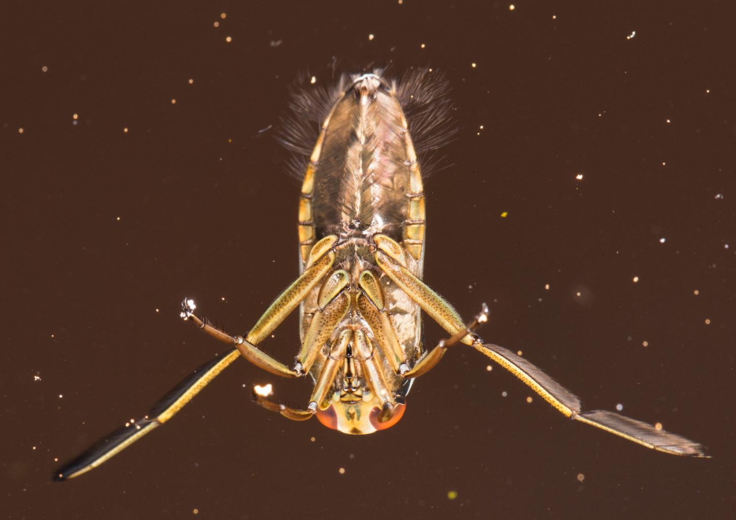 Valokuvaaja: Pertti Rautiainen