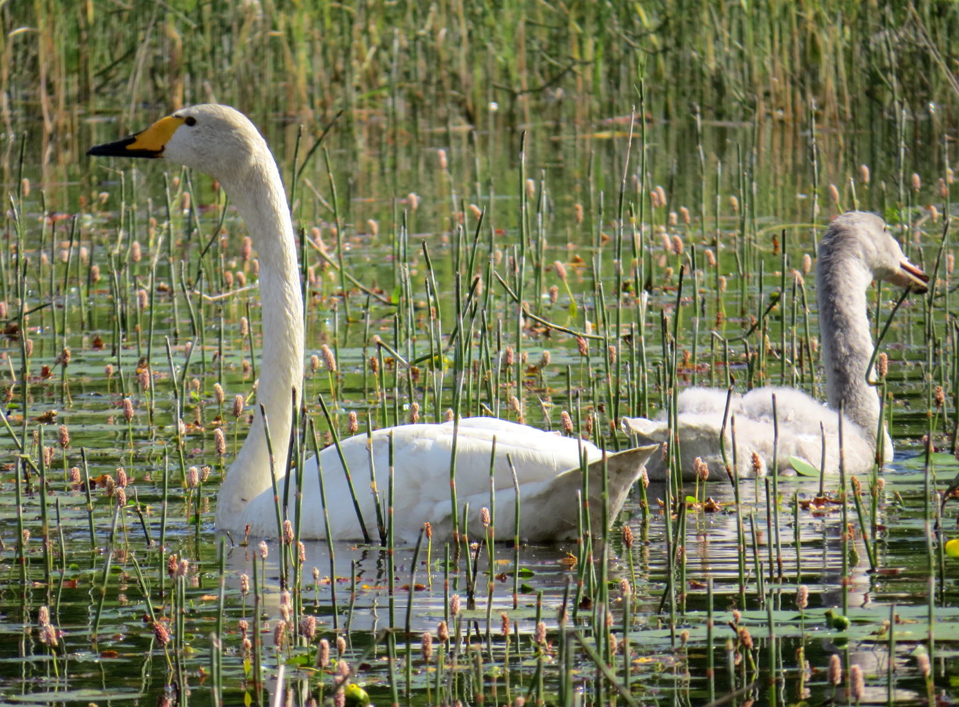 Valokuvaaja: Jaana Talvinen