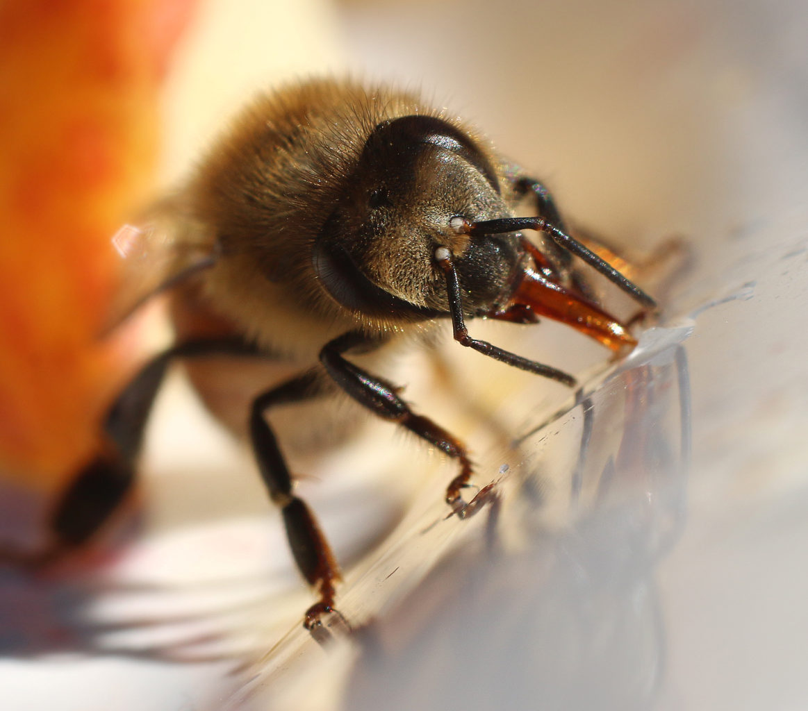 Valokuvaaja: Tarja Porkkala