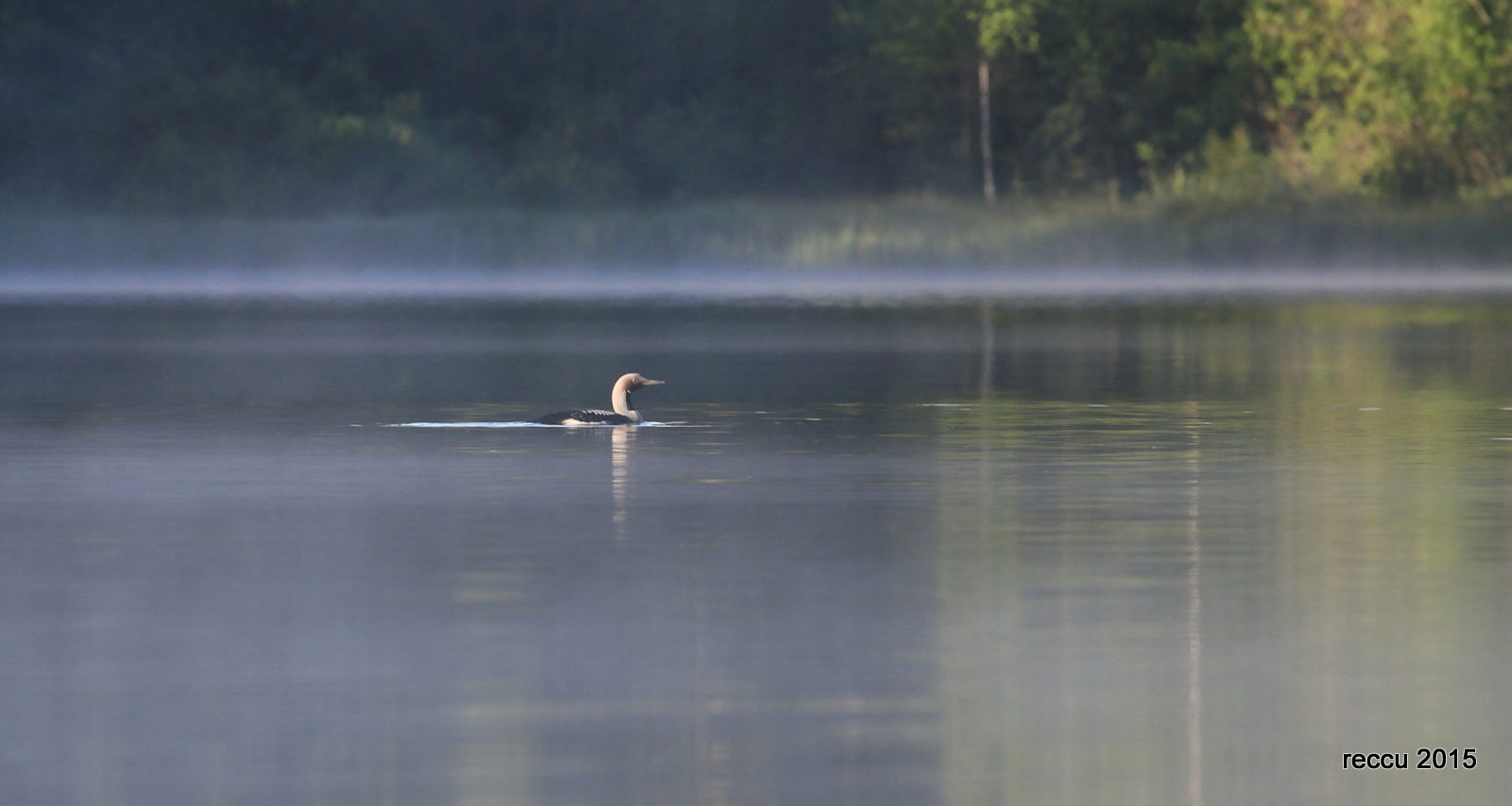 Valokuvaaja: reijo lehtonen