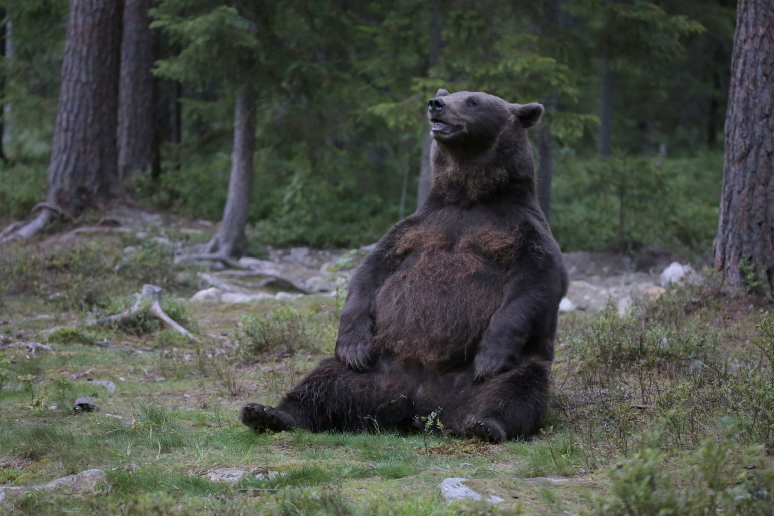 Valokuvaaja: Jukka Tuovinen