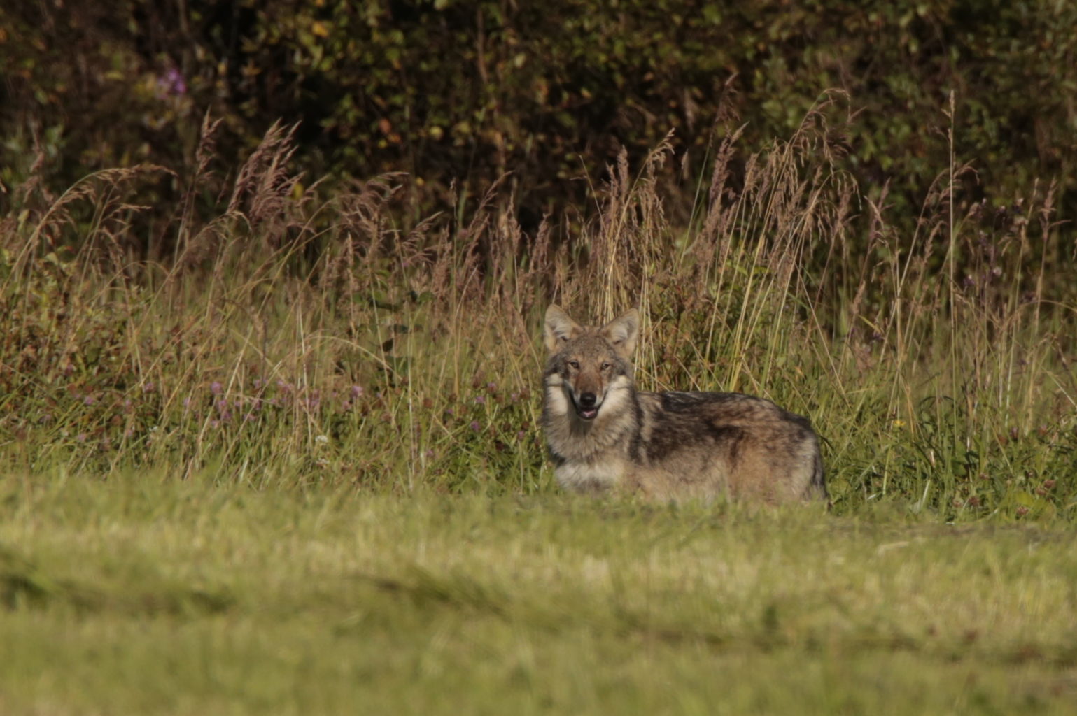 Valokuvaaja: Jukka Tuovinen