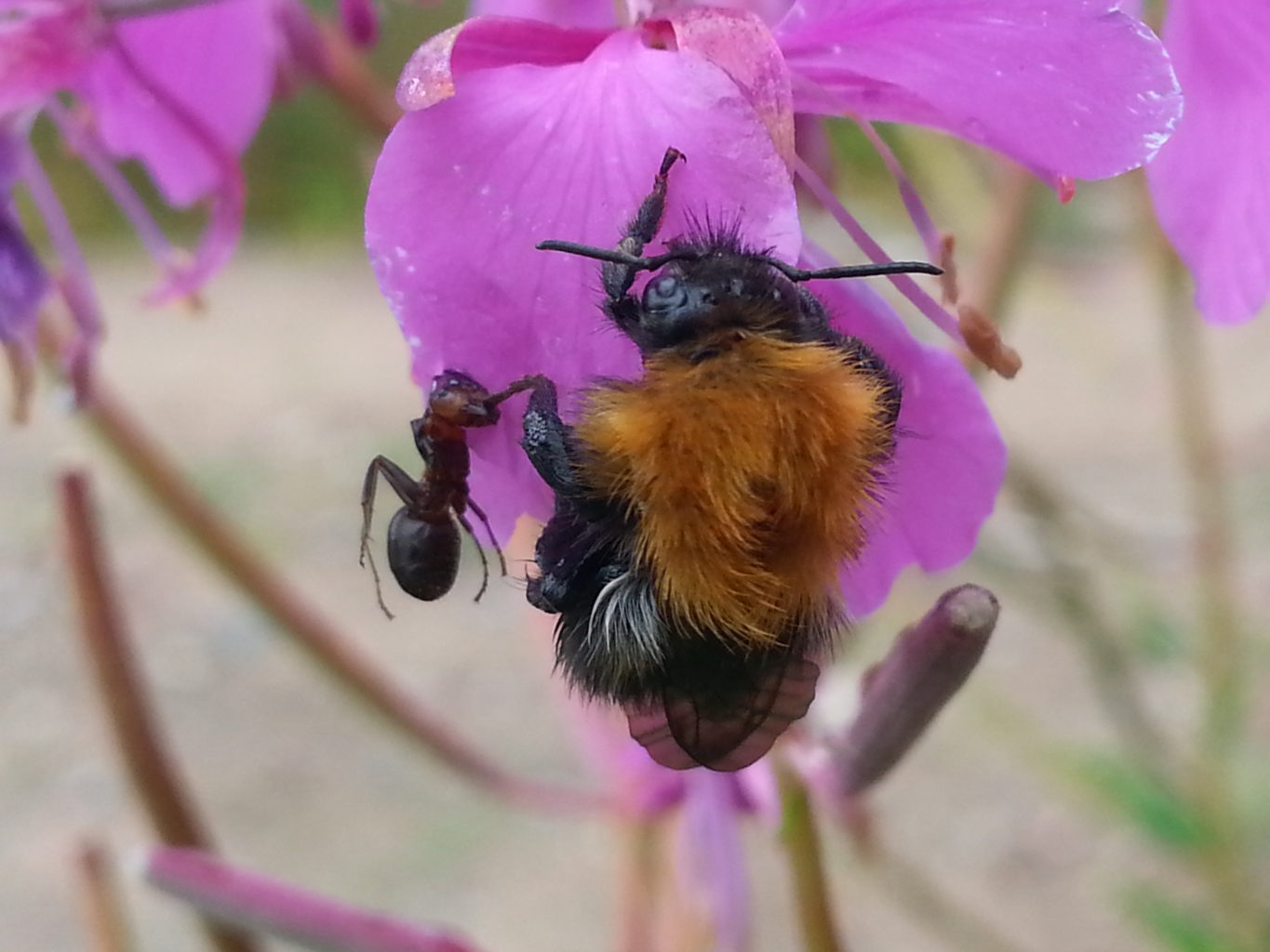 Valokuvaaja: Noora Andersson