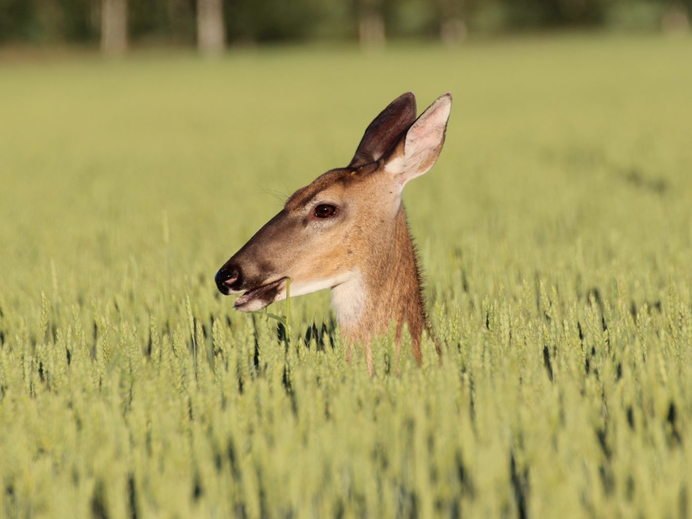 Valokuvaaja: Irja Lehtinen Valokuvaaja: Irja Lehtinen