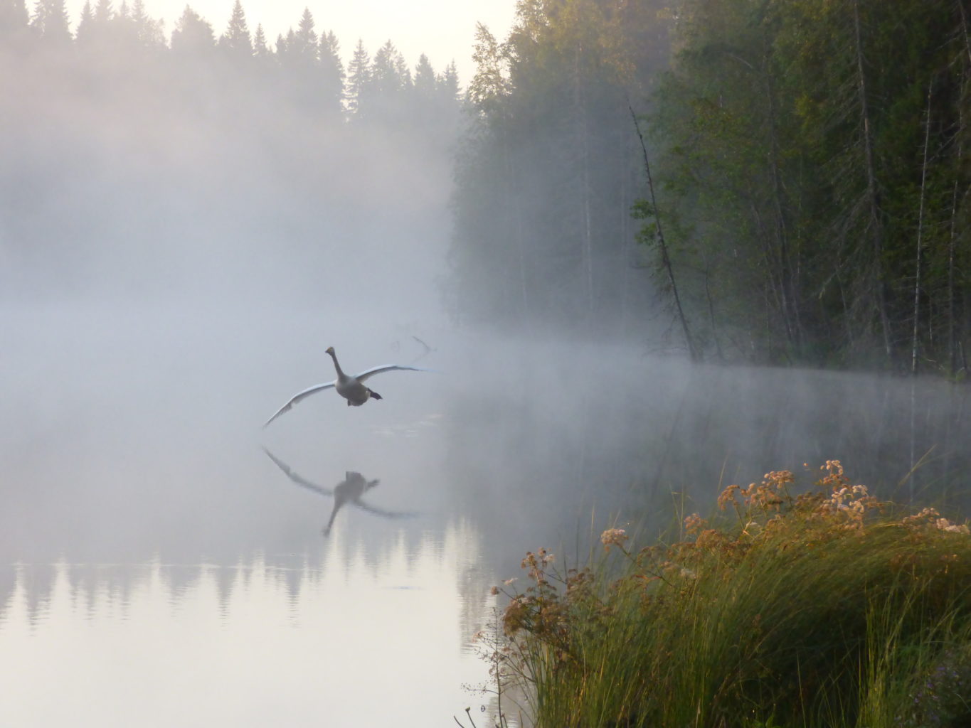 Valokuvaaja: Hannu Rissanen Valokuvaaja: Hannu Rissanen