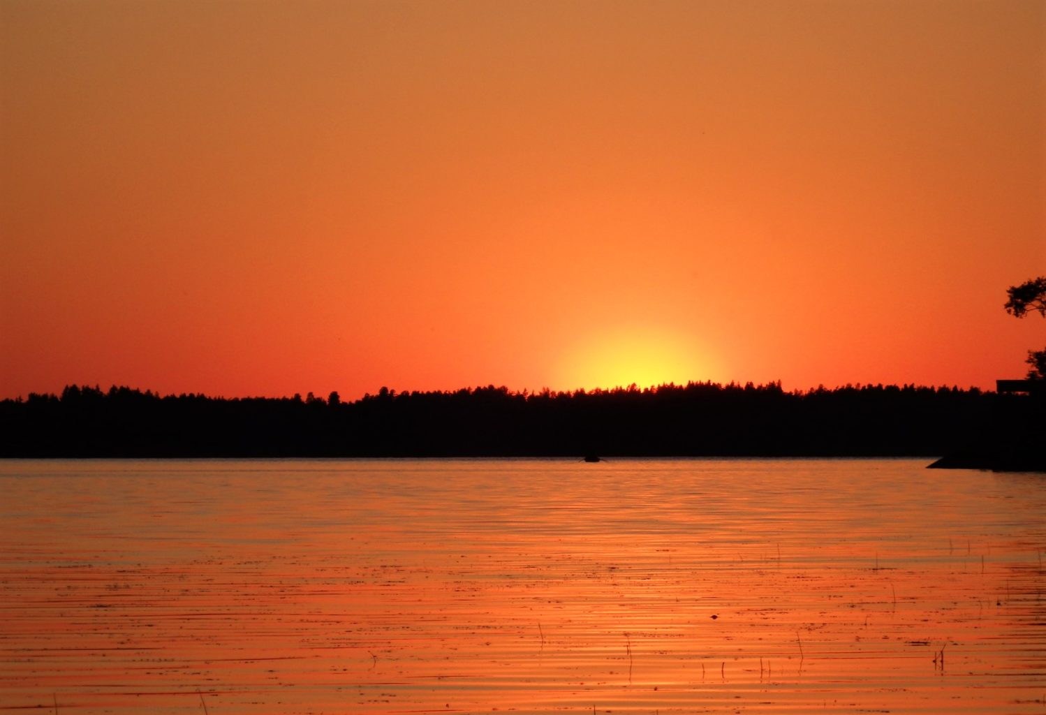 Valokuvaaja: Marja-Liisa Paavola Valokuvaaja: Marja-Liisa Paavola