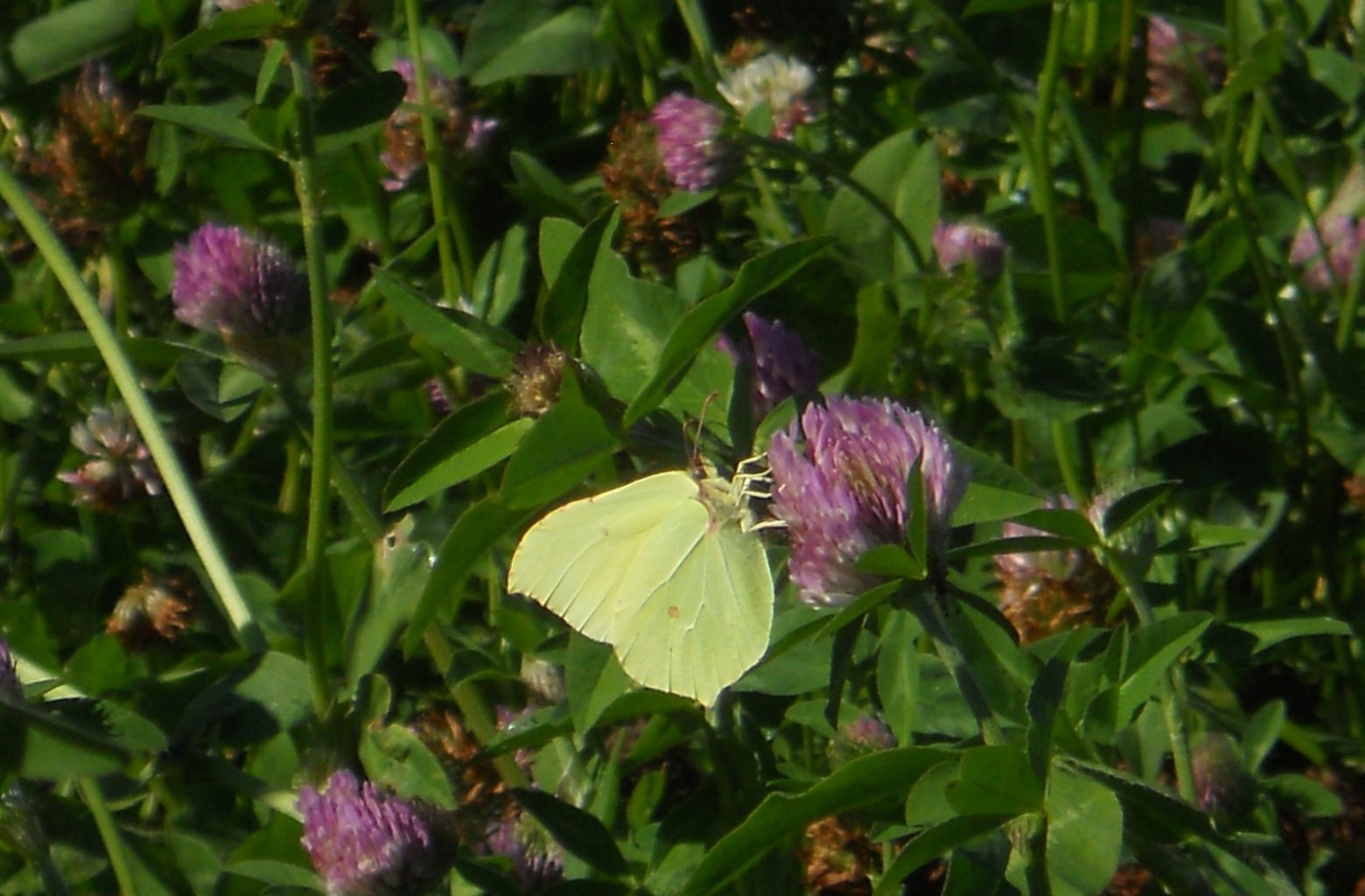 Valokuvaaja: Tiina Arlin