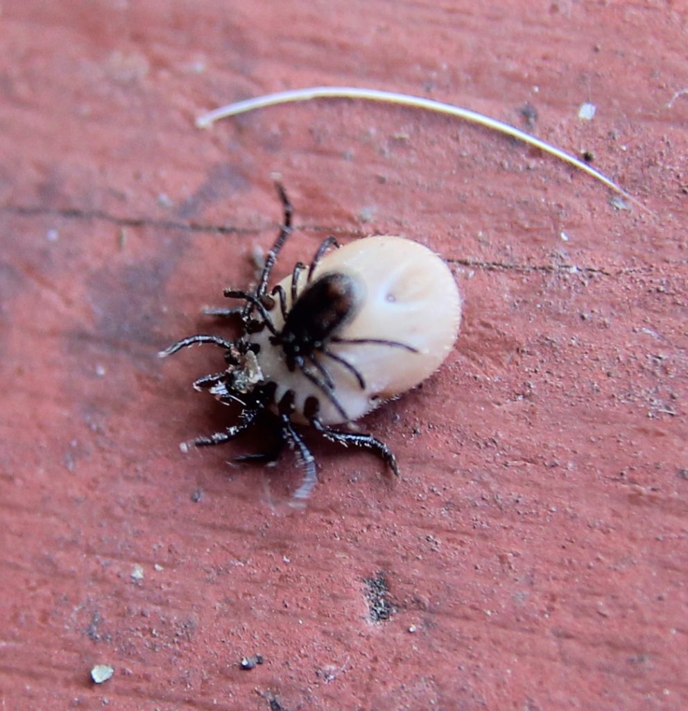 Valokuvaaja: Seija Kalenius