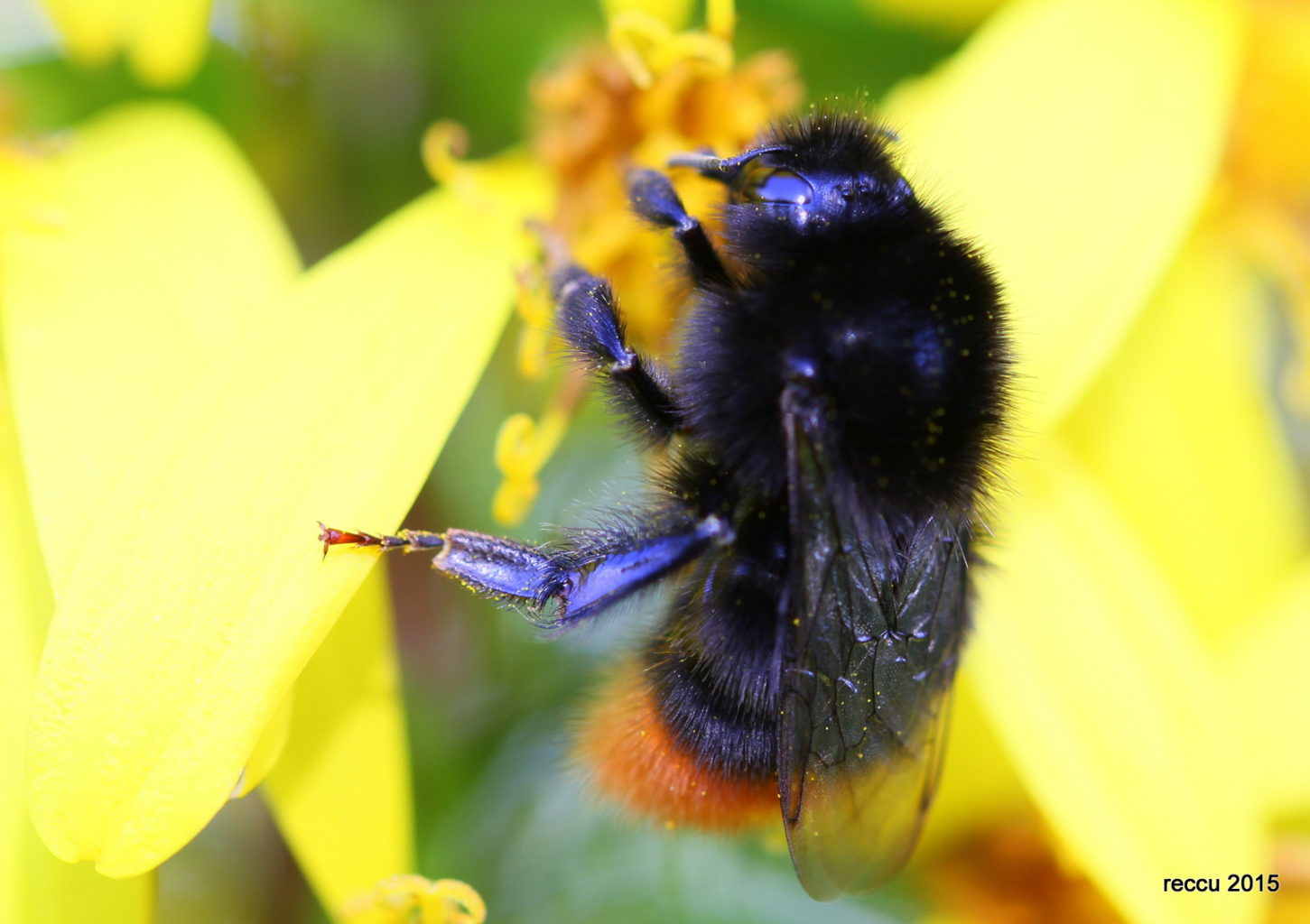 Valokuvaaja: reijo lehtonen