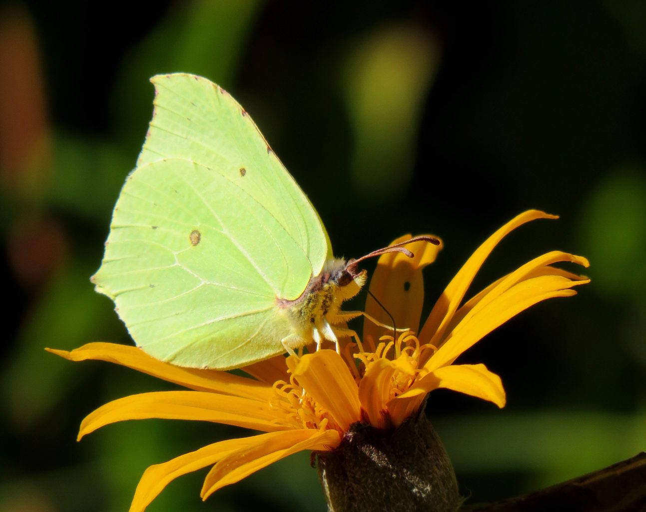 Valokuvaaja: Jaana Talvinen