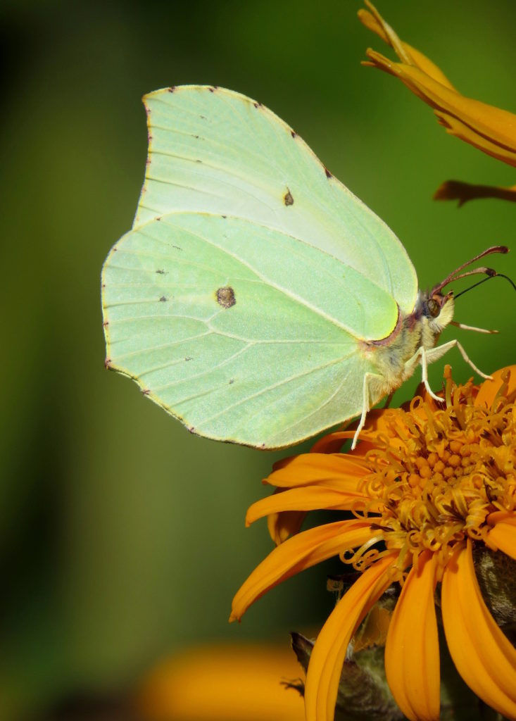 Valokuvaaja: Jaana Talvinen