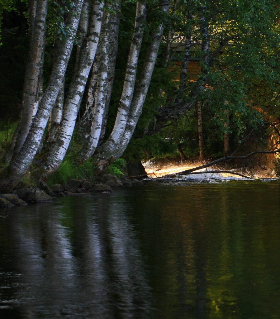 Valokuvaaja: reijo lehtonen