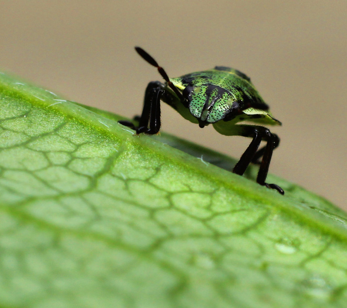Valokuvaaja: Tarja Porkkala