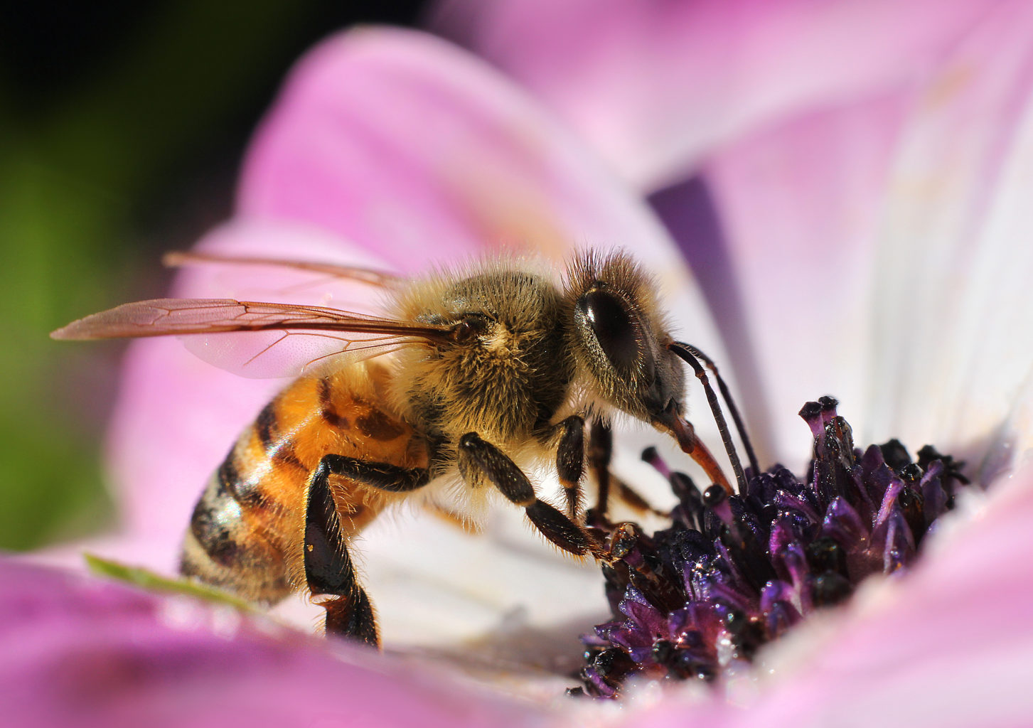 Valokuvaaja: Tarja Porkkala