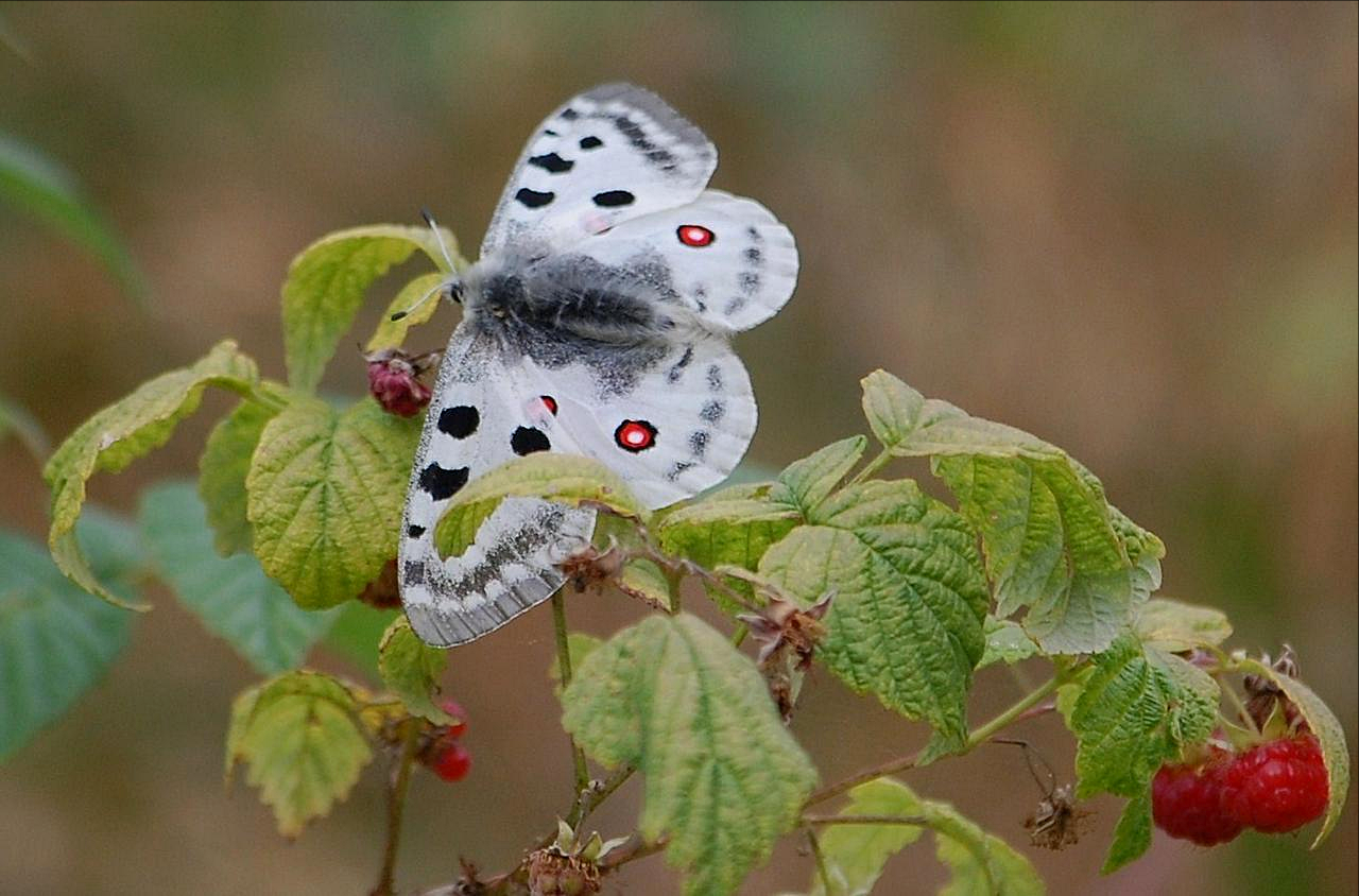 Valokuvaaja: Antti Kaskinen