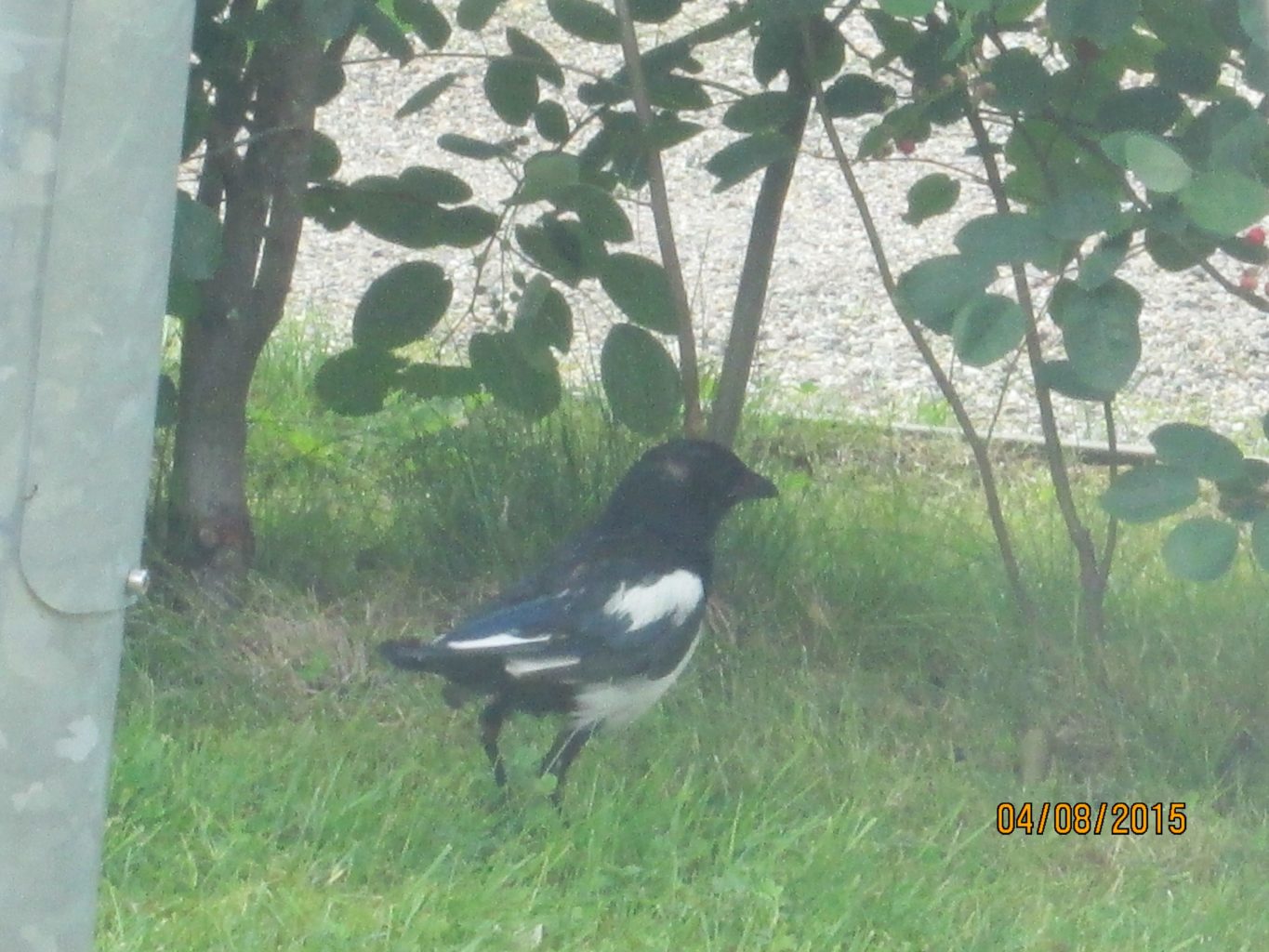 Valokuvaaja: Tuula Makkonen