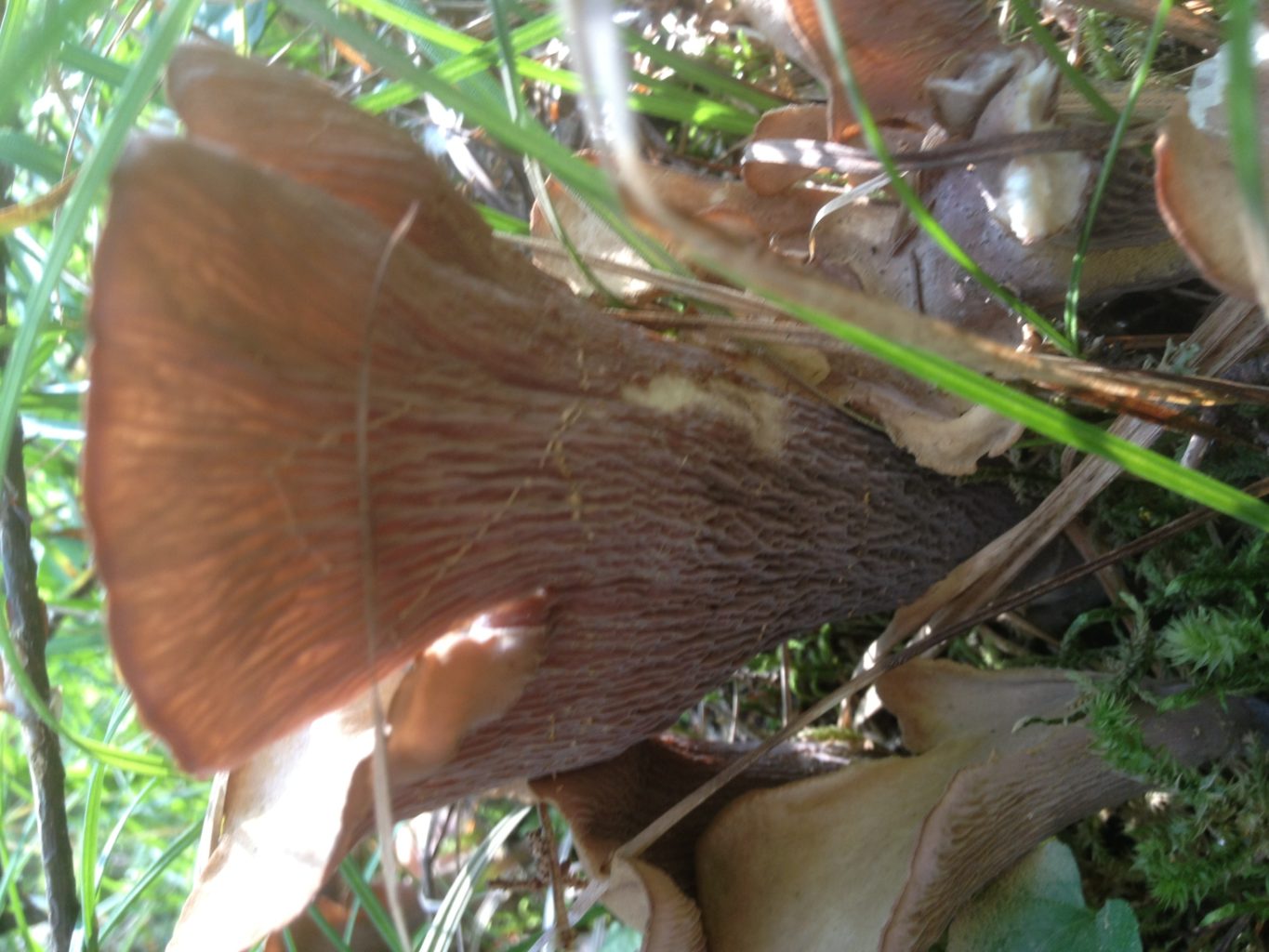 Valokuvaaja: Johanna Palovaara