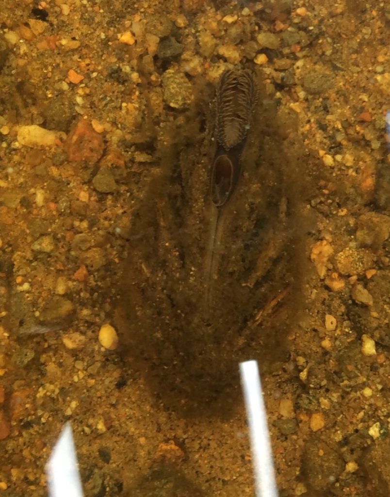 Valokuvaaja: Ilkka Markkanen