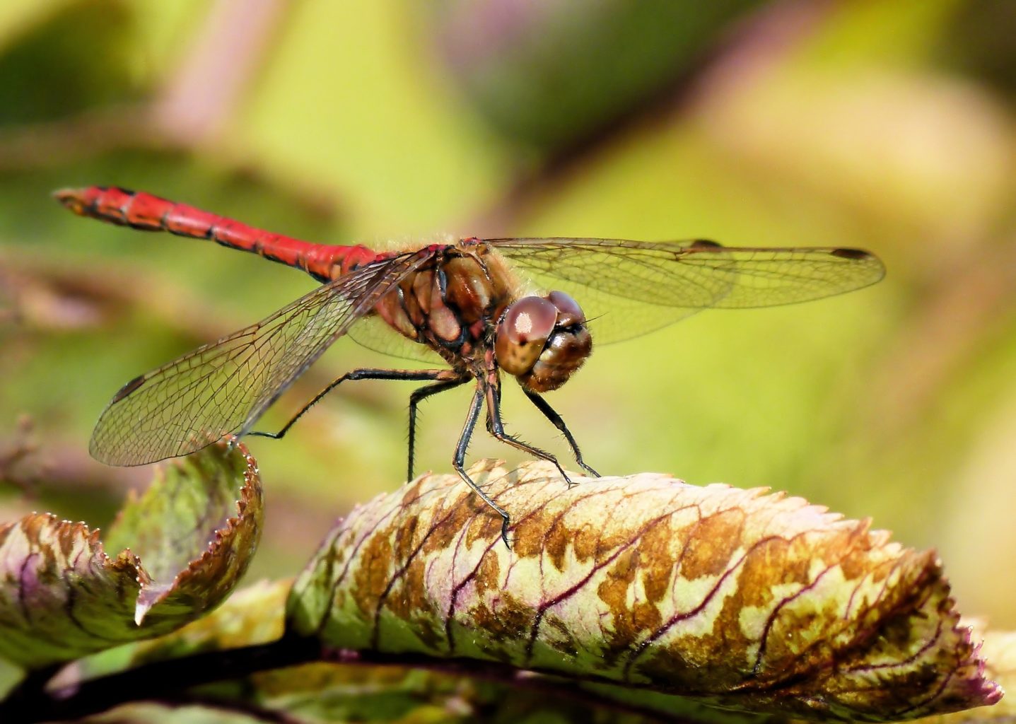 Valokuvaaja: Jaana Svahn Valokuvaaja: Jaana Svahn