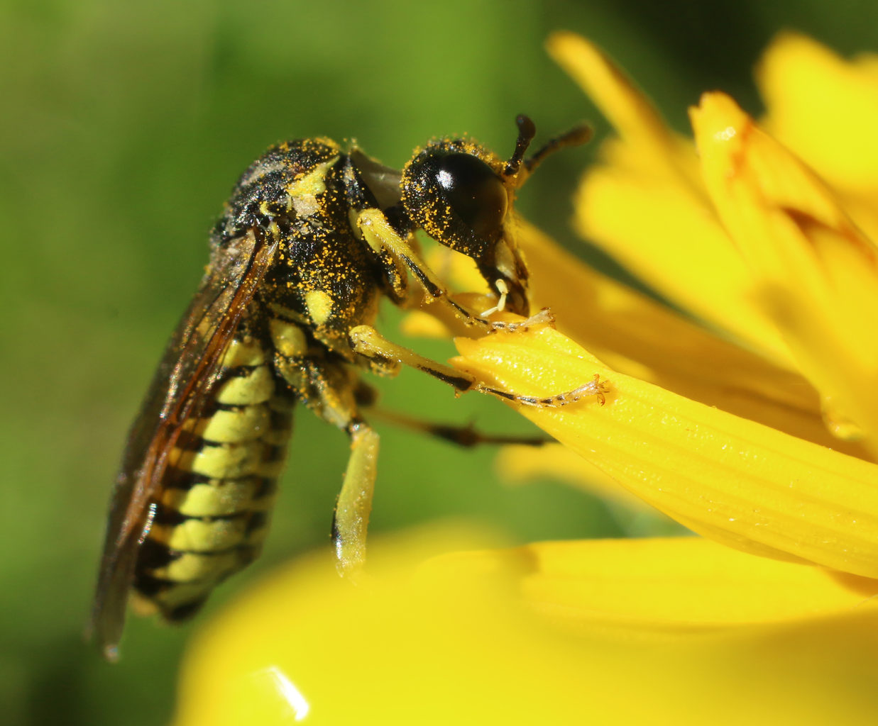 Valokuvaaja: Tarja Porkkala