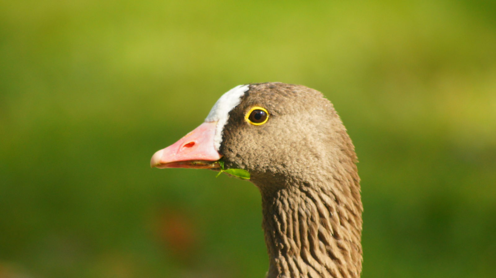 Valokuvaaja: Helene Heinonen