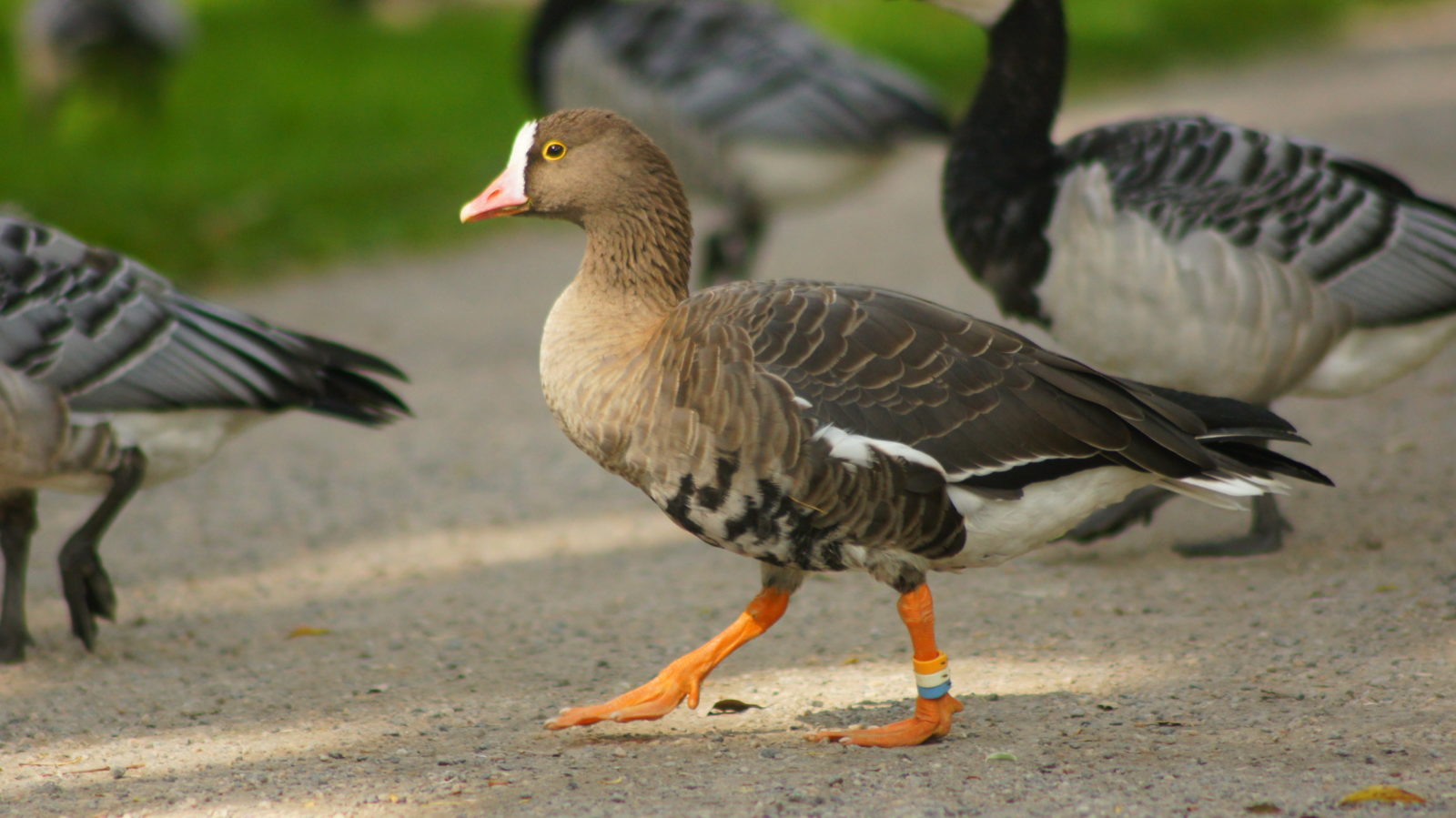 Valokuvaaja: Helene Heinonen