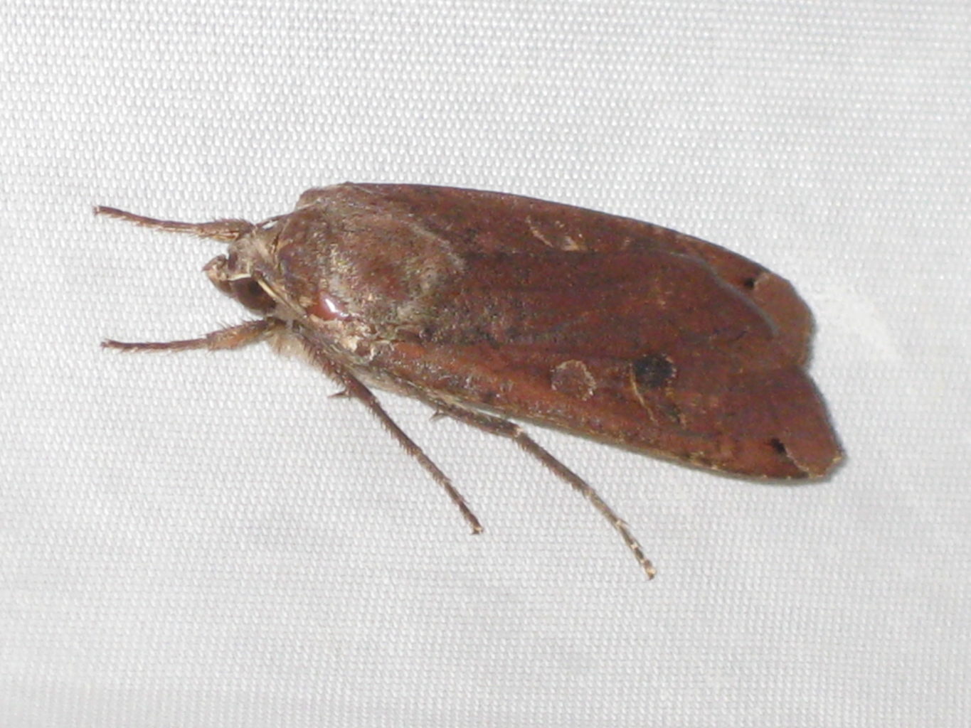 Valokuvaaja: yrjo lukkari