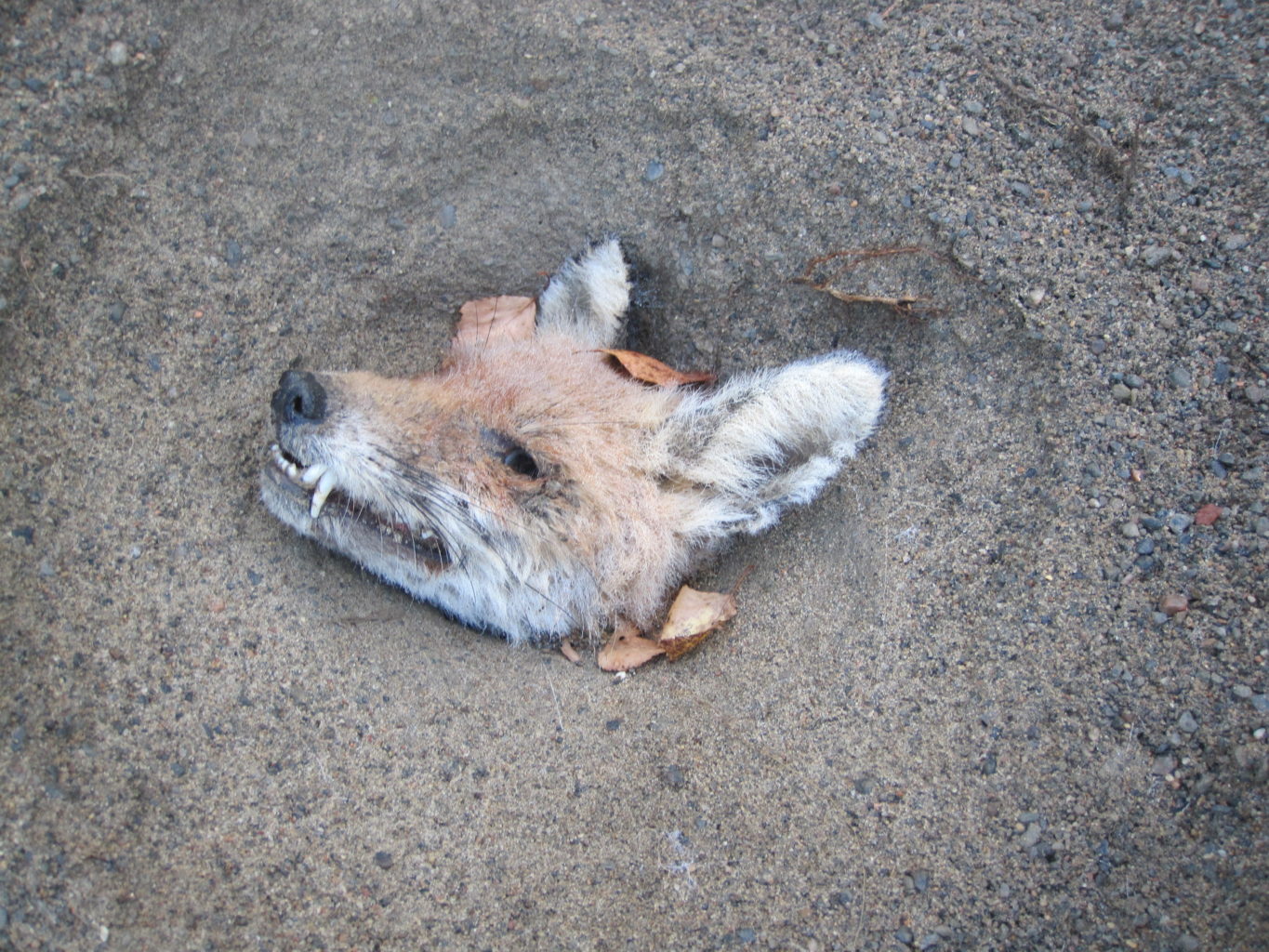 Valokuvaaja: Matti Hirvonen Valokuvaaja: Matti Hirvonen