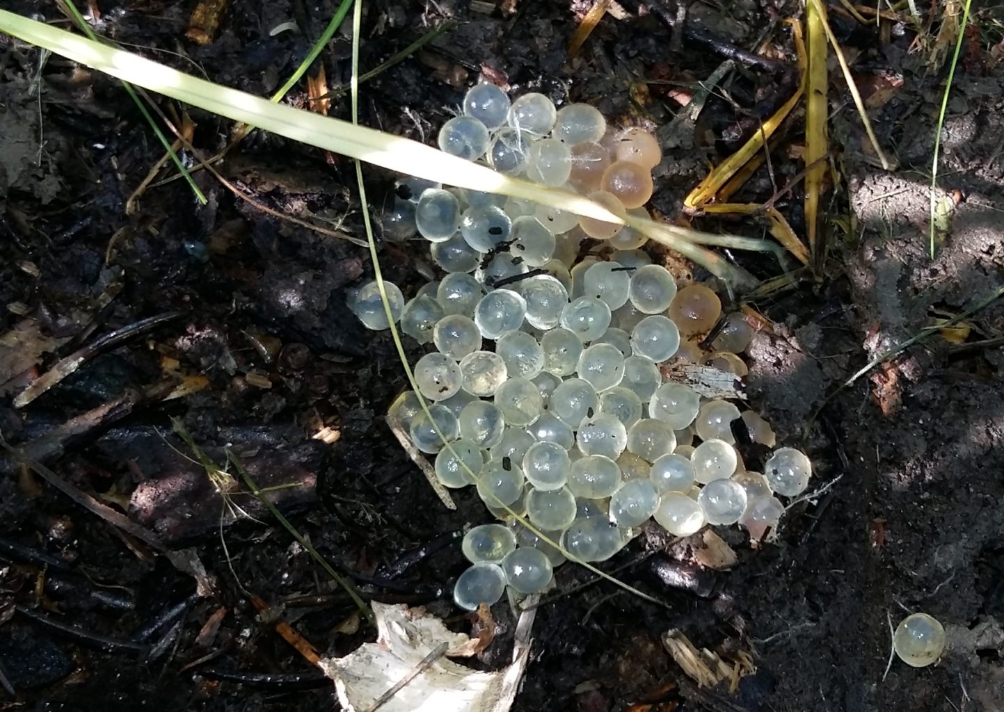 Valokuvaaja: Seppo Asp