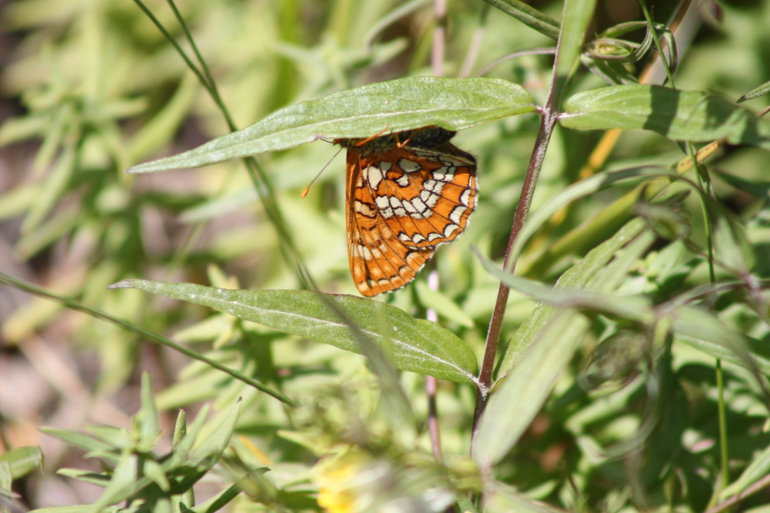 Valokuvaaja: Terhi Pöntinen