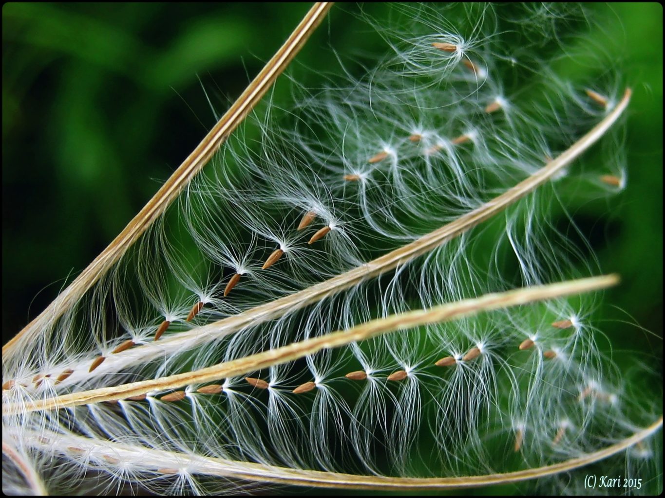 Valokuvaaja: Kari Saarinen