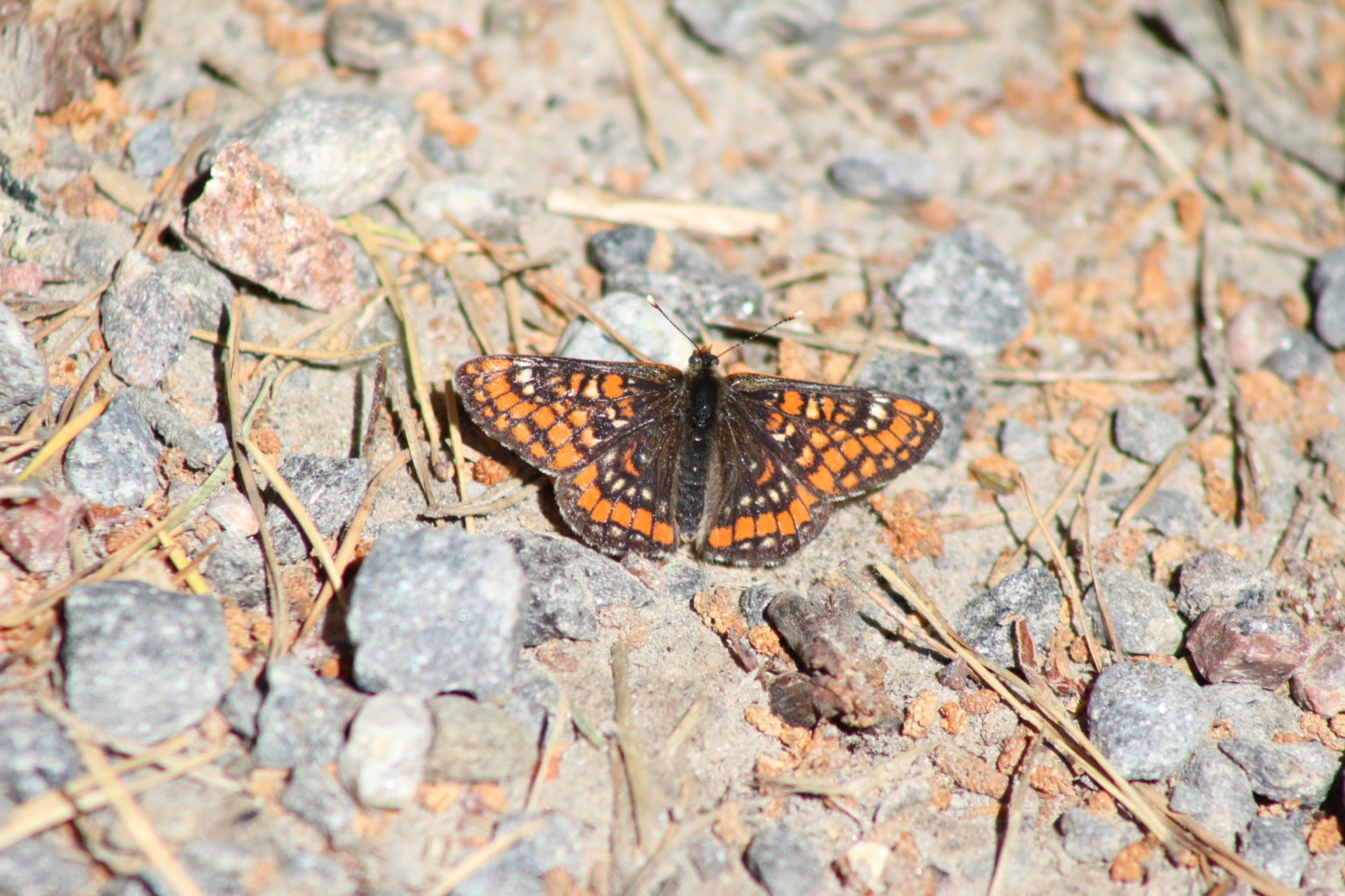 Valokuvaaja: Terhi Pöntinen