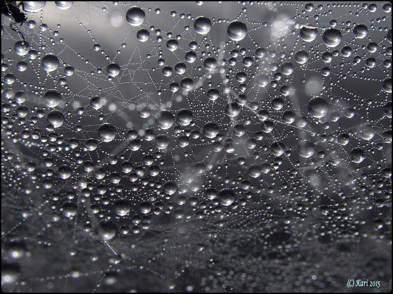 Valokuvaaja: Kari Saarinen