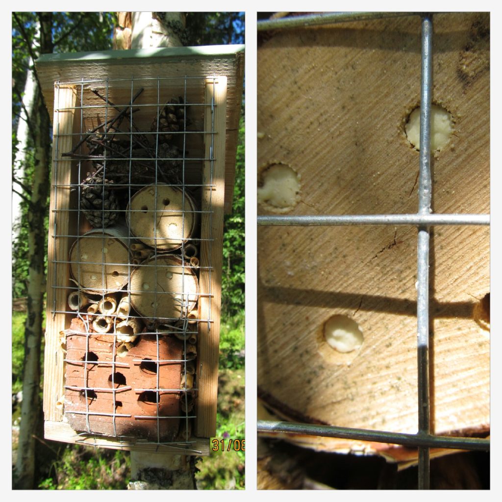 Valokuvaaja: Tuula Makkonen