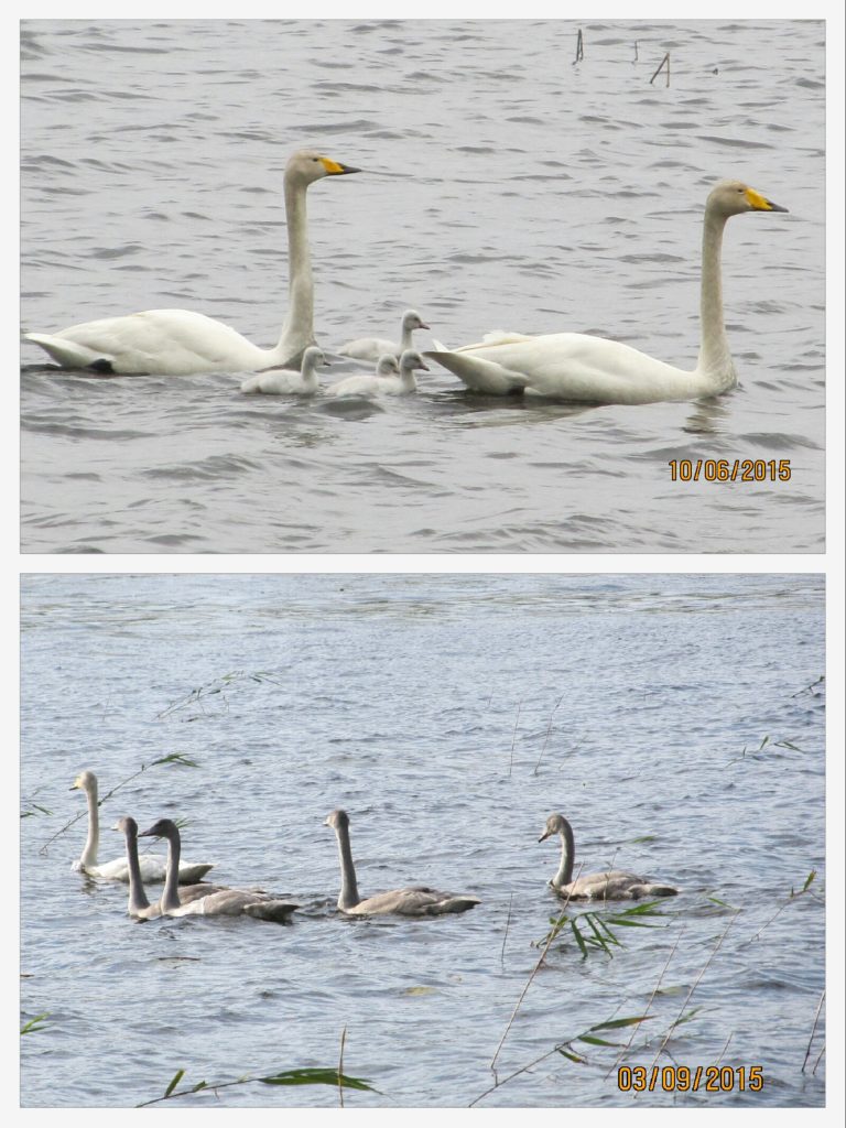 Valokuvaaja: Tuula Makkonen