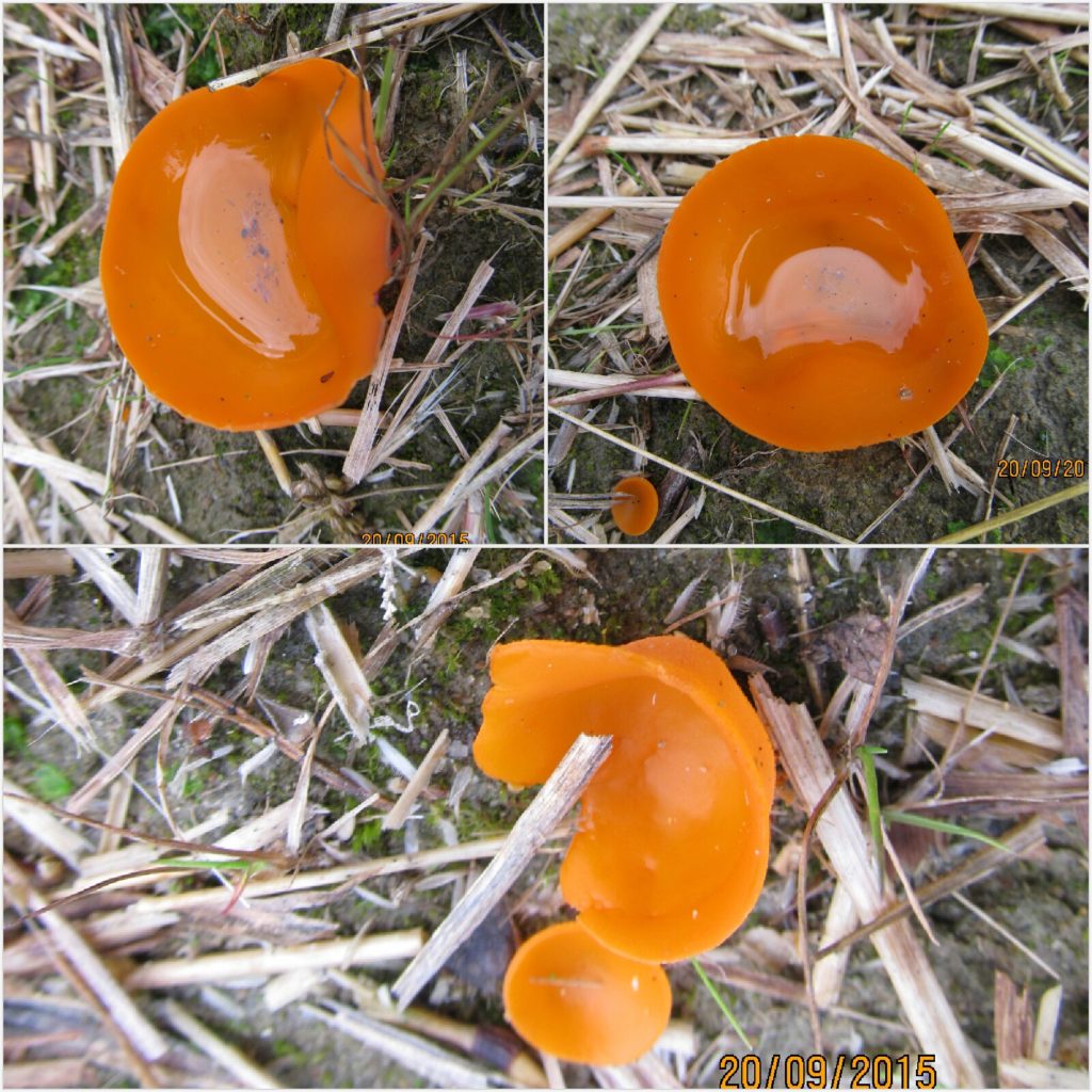 Valokuvaaja: Tuula Makkonen