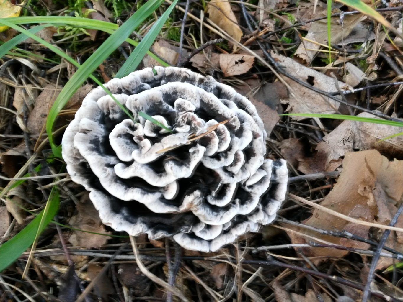 Valokuvaaja: Tuula Makkonen