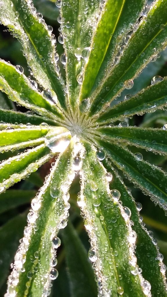 Valokuvaaja: Linnea Valtonen