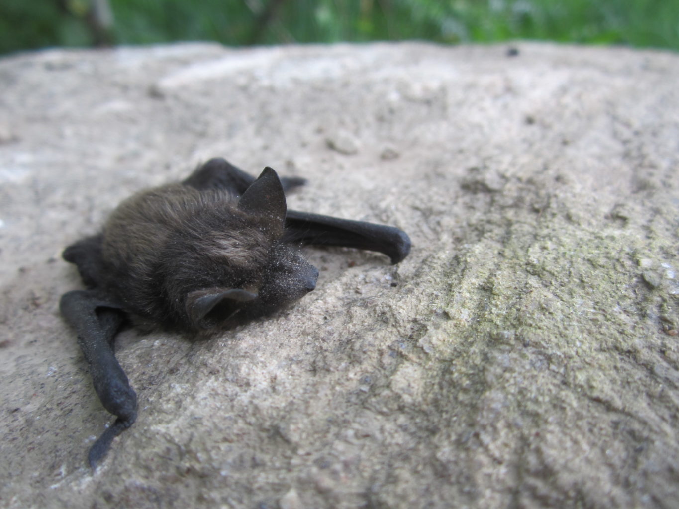 Valokuvaaja: Johanna Salonen