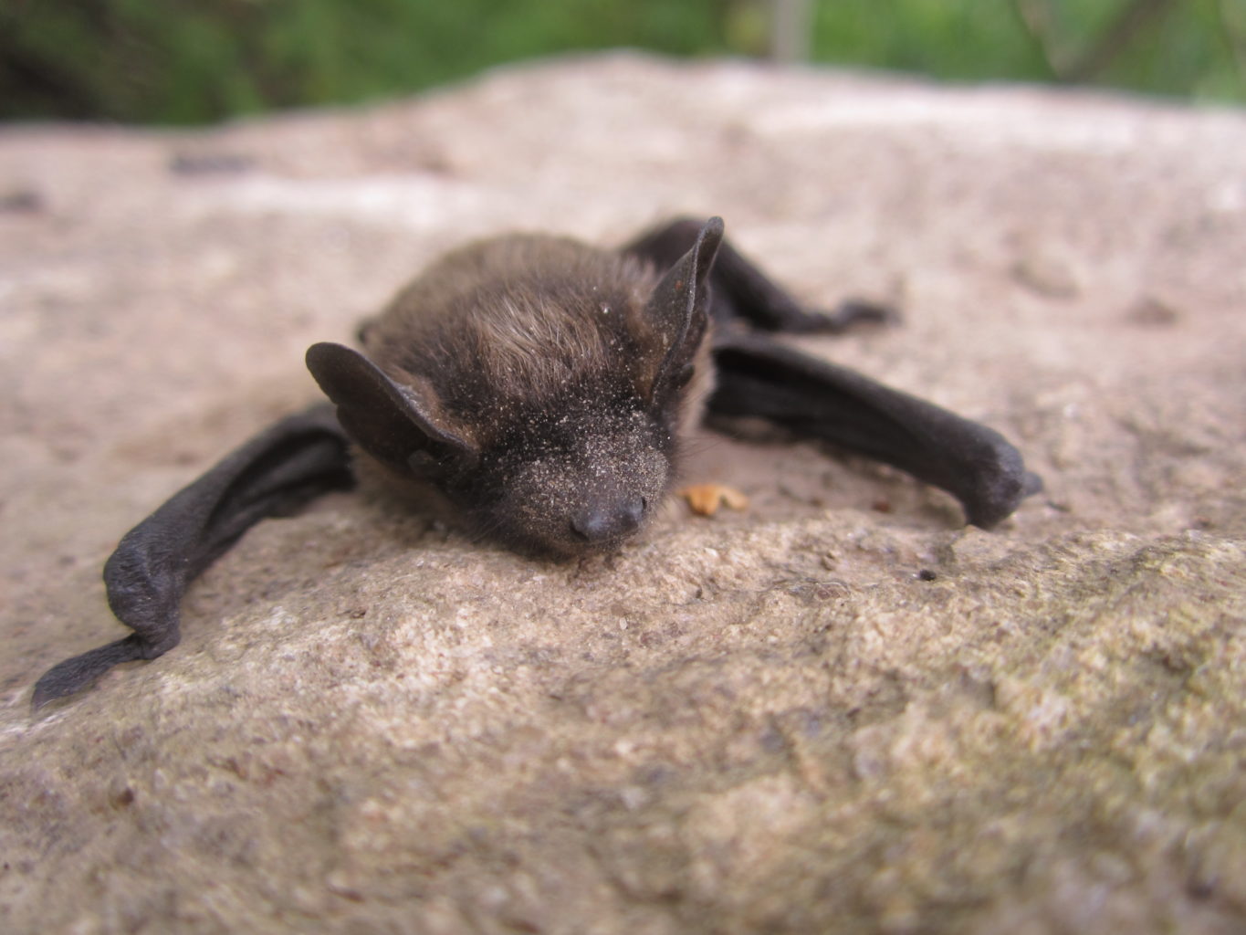 Valokuvaaja: Johanna Salonen