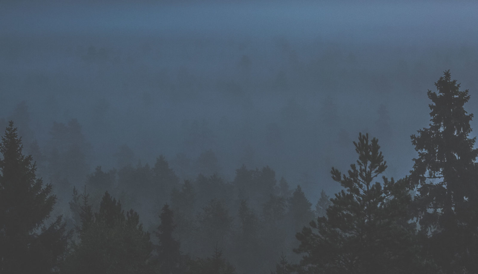 Valokuvaaja: Satu Mali