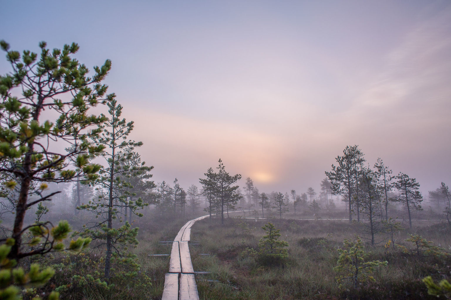 Valokuvaaja: Satu Mali