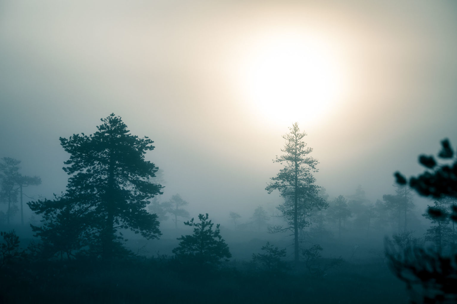 Valokuvaaja: Satu Mali